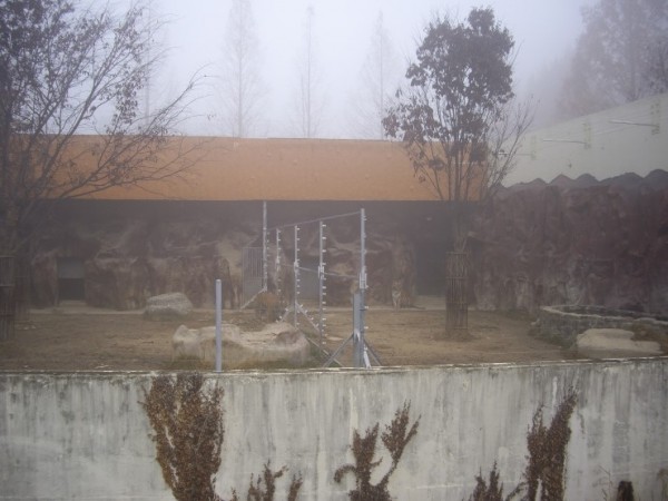 a2d905afa28ea435662c7b494be06137_1554206655_8069.jpg