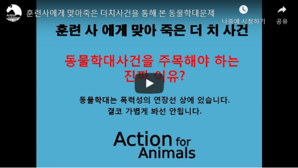 daab580a6100e8d192f55d73dfd018e1_1574834813_4129.png